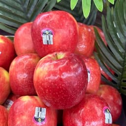 핑크레이디 애플