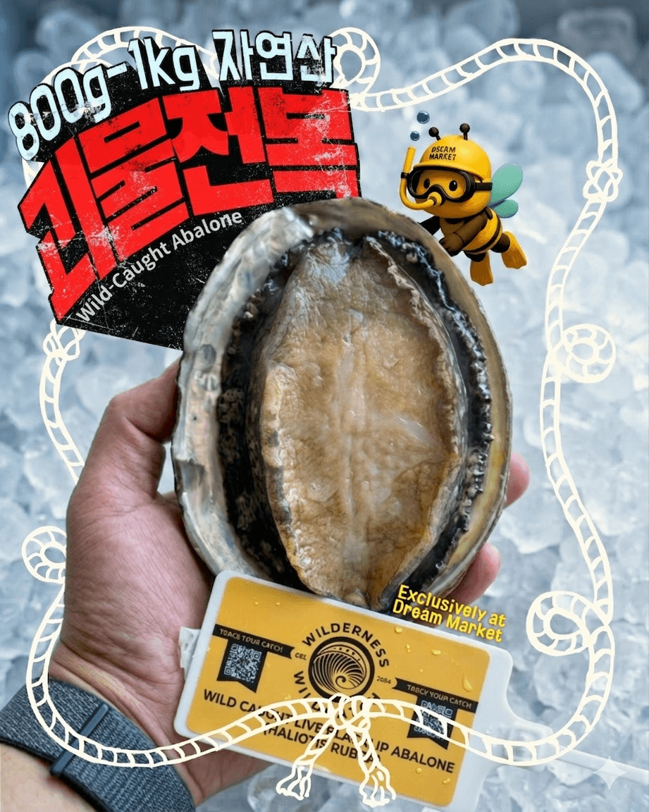 🌊Monster Abalone🌊