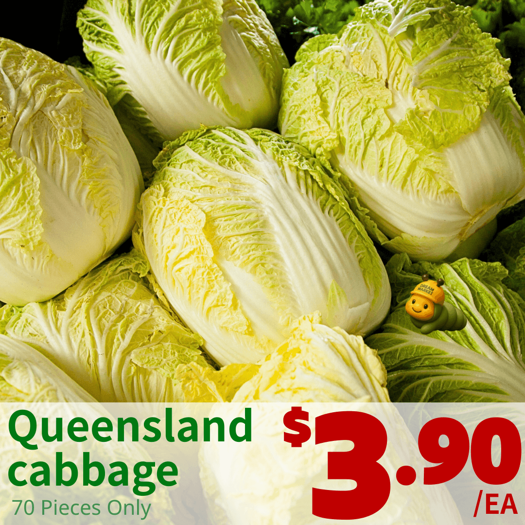 Cabbage Limited Sale🥬