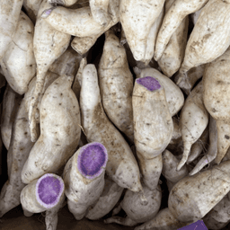자색고구마