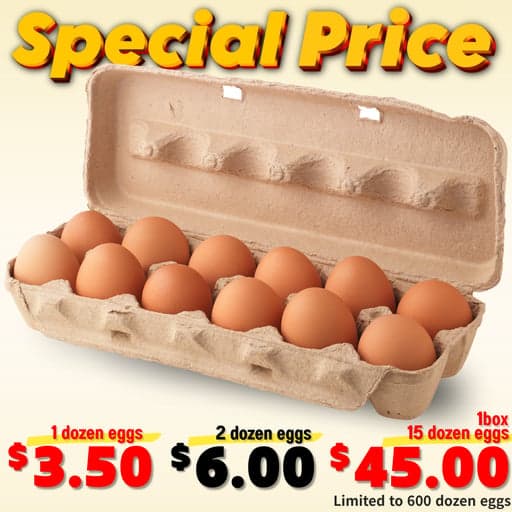 [Deal] Fresh Eggs✨