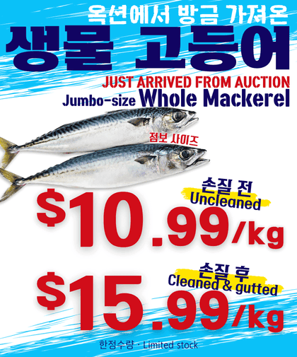 Fresh Whole Mackerel 🐟