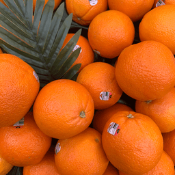 카라카라 오렌지