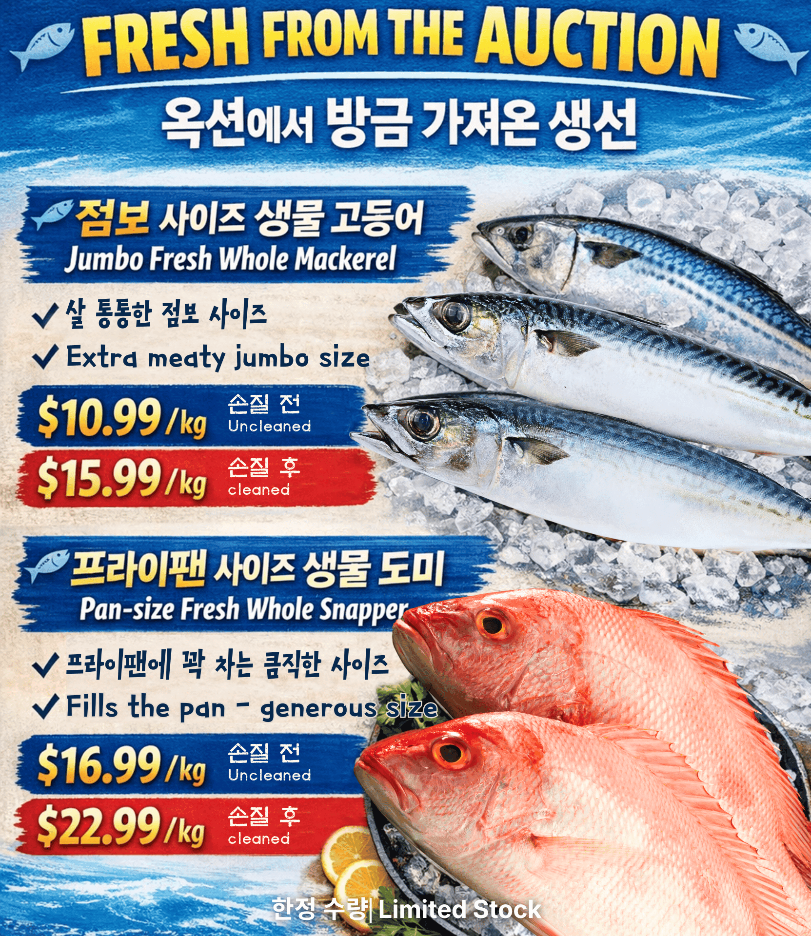 Fresh Mackerel∙Snapper🐟