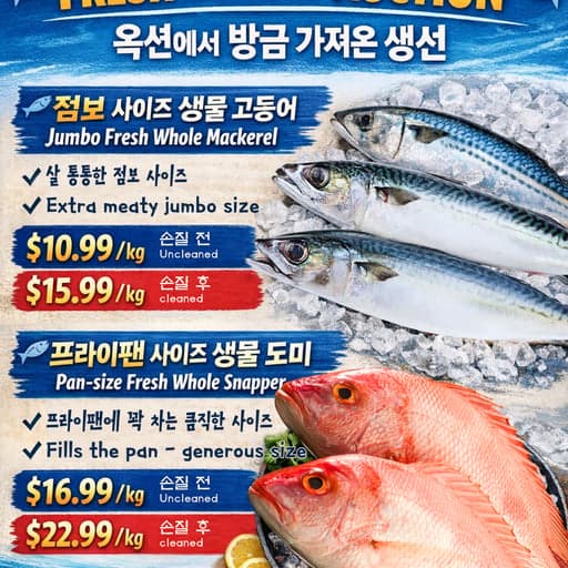 Fresh Mackerel∙Snapper🐟